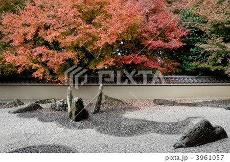 龍吟庵、西庭 3961057