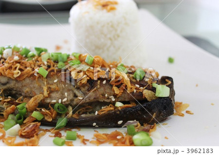 なすと肉のステーキ 3962183