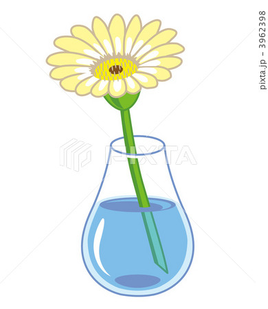 一本 ガーベラ イラストのイラスト素材