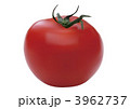 リアルイラスト「トマト」 3962737