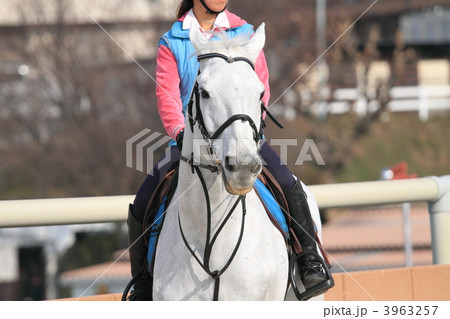 馬術競技 馬術競技 3963257