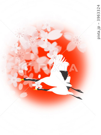 鶴と桜の花 3963324