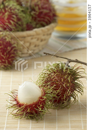 ランブータン 3964157