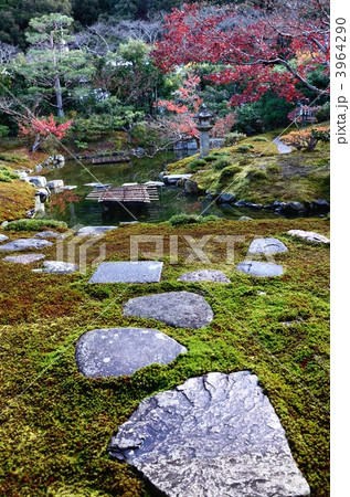 光雲寺、庭園の飛石 3964290