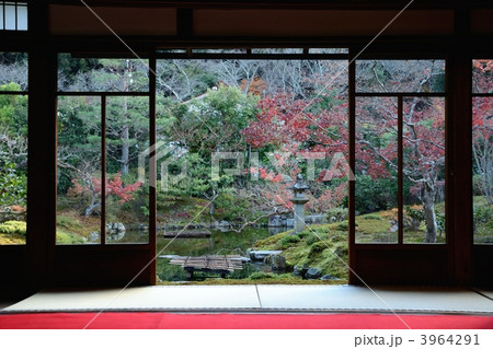 光雲寺の和室 光雲寺の和室 3964291