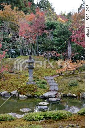 光雲寺、池の飛石と庭園 3964293