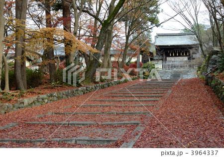 晩秋の毘沙門堂参道 3964337