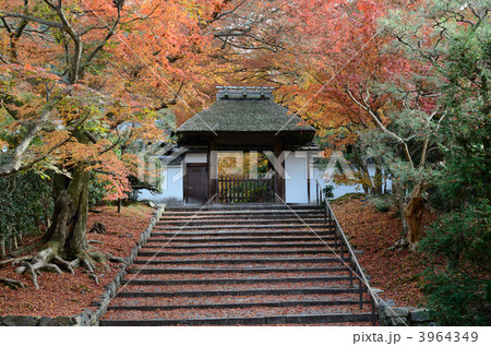 京都、安楽寺の茅葺き門 京都、安楽寺の茅葺き門 3964349