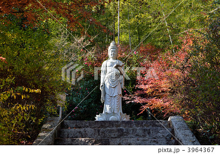 直指庵の想い出草観音像 3964367