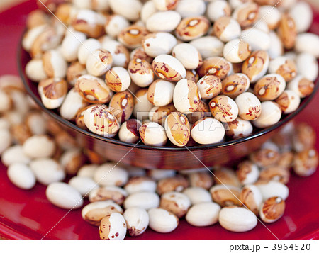 とら豆盛（二段重ね正面） 3964520