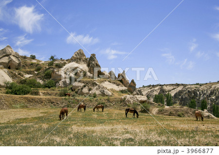 カッパドキアにて 3966877