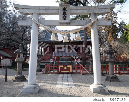 世良田東照宮・拝殿 3967126