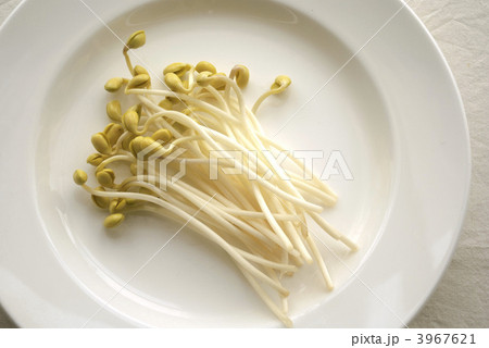 大豆もやし 大豆もやし 3967621