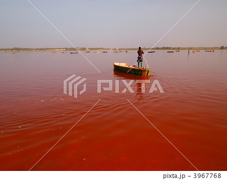 セネガル:ラック・ローズ セネガル:ラック・ローズ 3967768