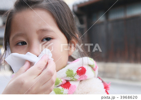 鼻をかむ3歳女児 3968620