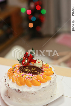手作りのクリスマスケーキとクリスマスツリーの写真素材