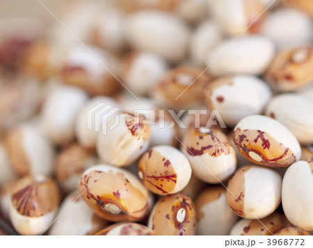 虎豆マクロ 3968772