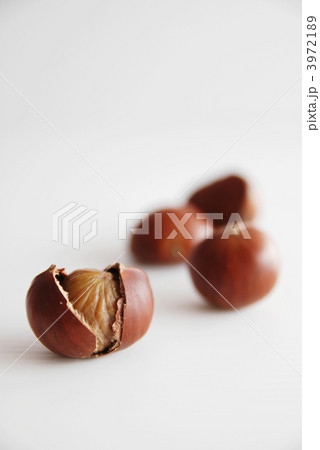 甘栗 3972189