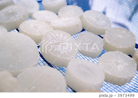 凍み大根づくり 3973499