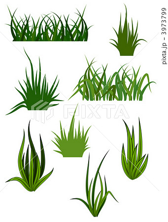 Green grass patterns Green grass patterns 3973799