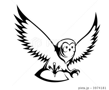 Flying owl 3974181