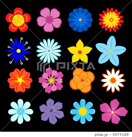 Set of flower blossoms and elements Set of flower blossoms and elements 3974189
