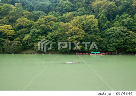 嵯峨野嵐山 大堰川 嵯峨野嵐山 大堰川 3974844