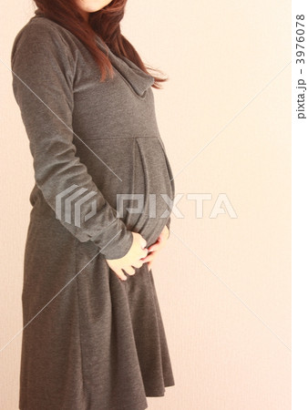 普段着の妊婦 3976078