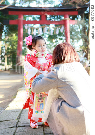 七五三（3歳） 3977082