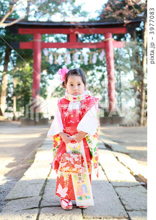 着物姿の3歳児（七五三） 3977083