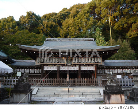 熊野若王子神社 3977286