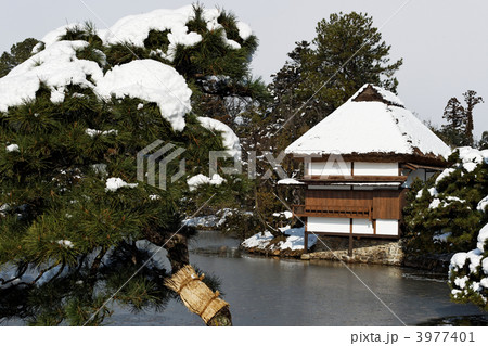 津山 衆楽園 冬 3977401