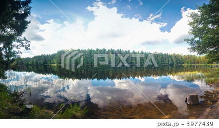 summer lake scene 3977439