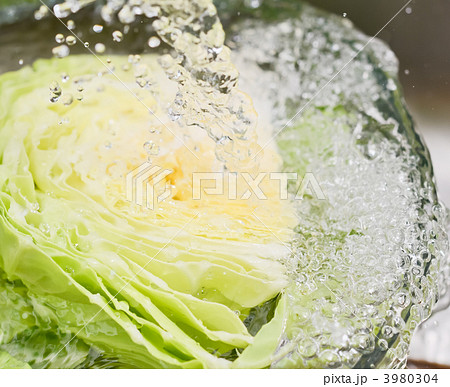 3980304