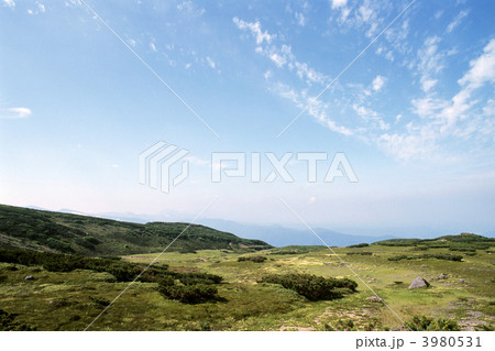 大雪山・高山植物群 大雪山・高山植物群 3980531