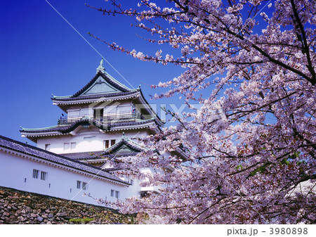 和歌山城 3980898