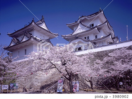 伊賀上野城 3980902