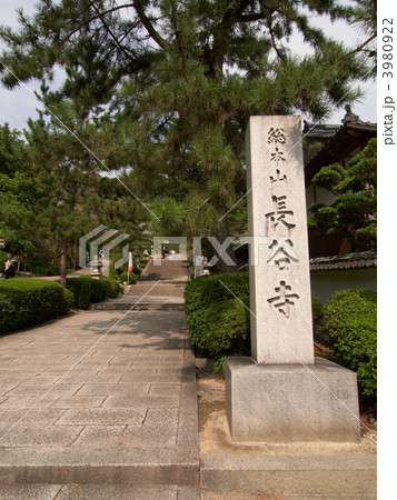 西国三十三箇所・第八番札所・長谷寺 西国三十三箇所・第八番札所・長谷寺 3980922