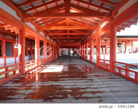 大潮の日の厳島神社 3981286