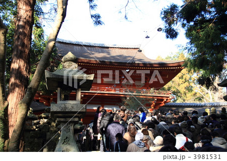 春日大社の参道 3981531