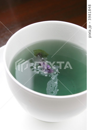 Mallow blue 3981848