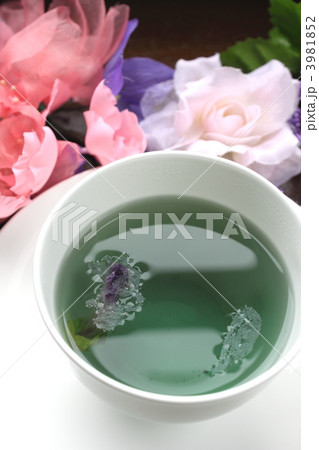 Mallow blue Mallow blue 3981852