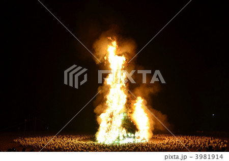 九重町　祭り　どんど焼き 3981914