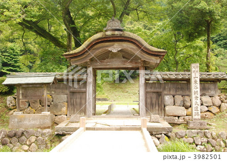 一乗谷朝倉氏遺跡の「唐門(復元)」(福井県福井市城戸ノ内町) 一乗谷朝倉氏遺跡の「唐門(復元)」(福井県福井市城戸ノ内町) 3982501