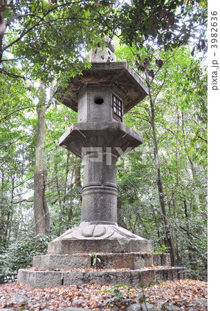 熱田神宮の佐久間灯籠 3982636