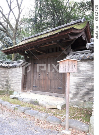 熱田神宮　清雪門 3982729
