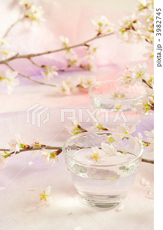 春のイメージ 3982745