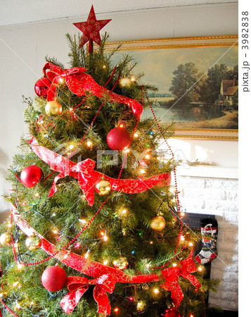 クリスマスツリー2011年 3982838
