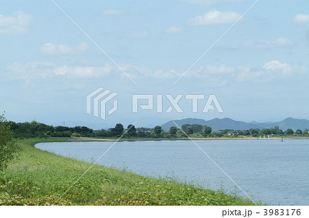 渡良瀬遊水地 3983176