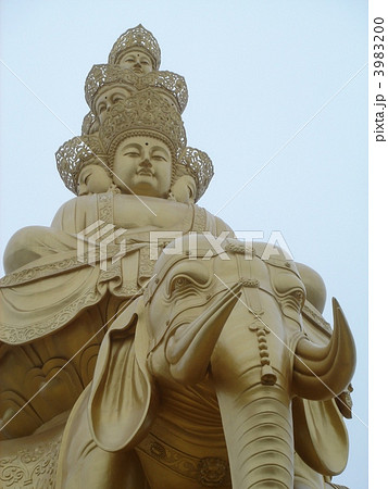 中国　峨眉山 3983200